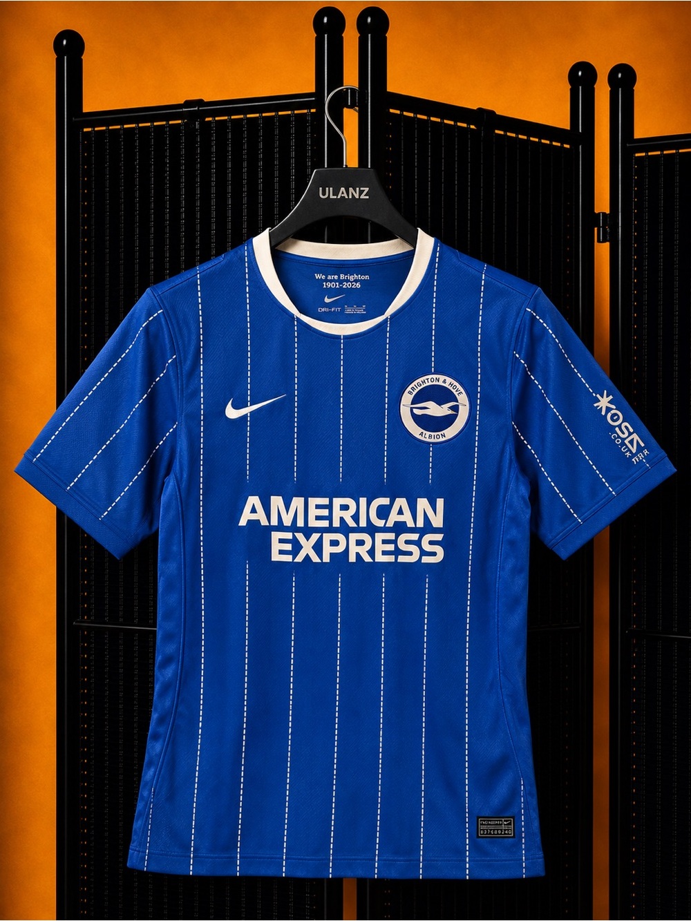 Brighton & Hove Albion Home Soccer Jersey